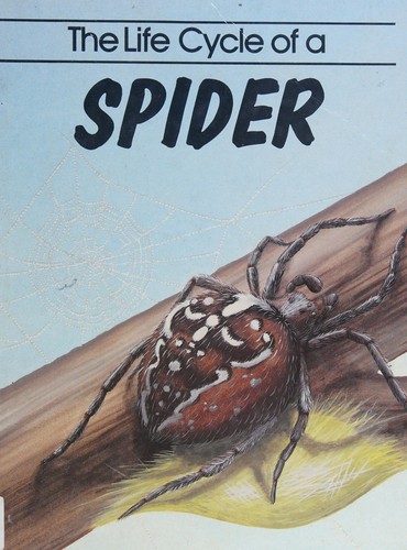 The life cycle of a spider