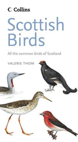 Scottish Birds