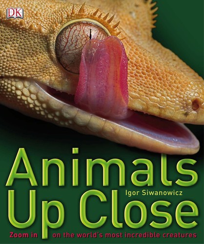 Animals up close