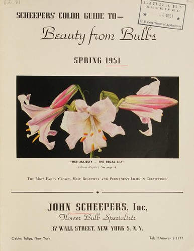 Scheepers' color guide to beauty from bulbs