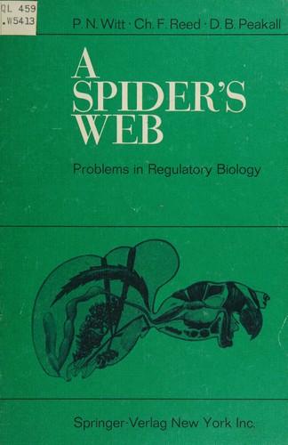 A spider's web