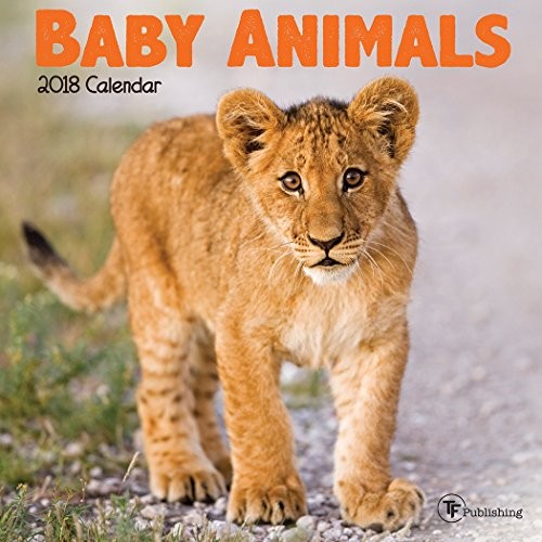 2018 Baby Animals Mini Calendar
