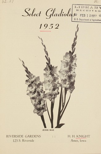 Select gladiolus, 1952