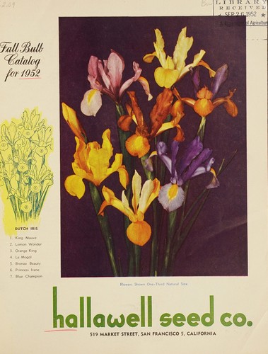 Fall bulb catalog for 1952