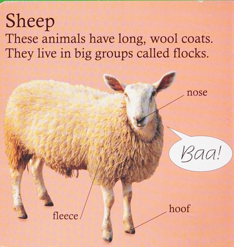 Animals