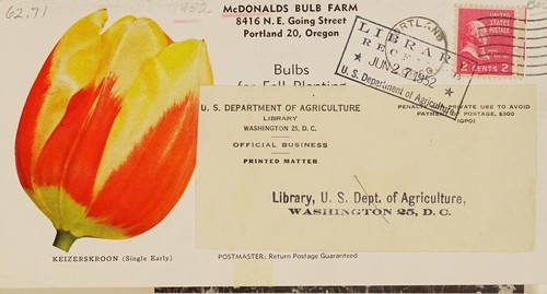 Bulbs for fall planting