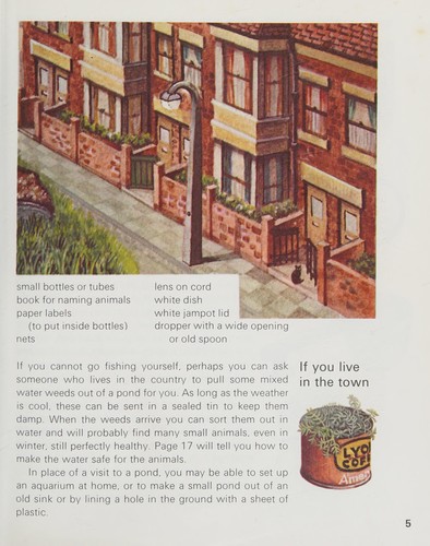 Pond Animals (Town & Country)