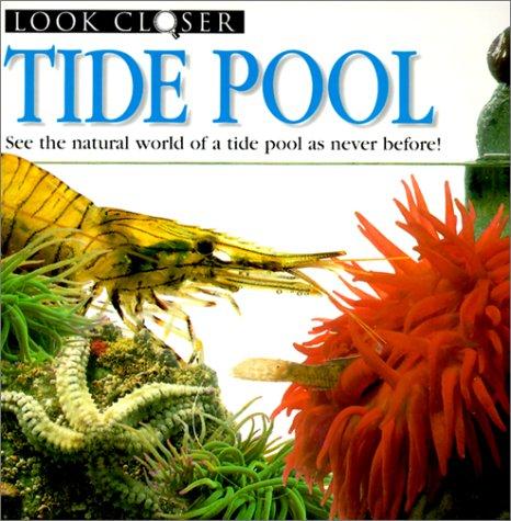 Tide Pool