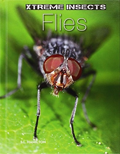 Flies