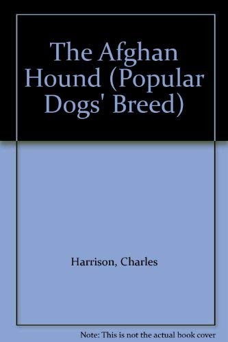 Afghan Hound