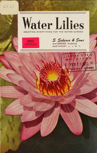 Water lilies