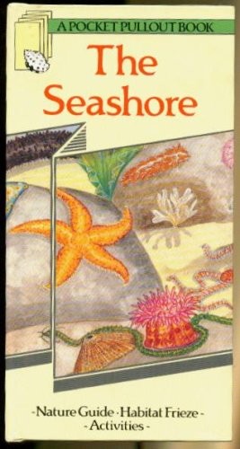 Seashore
