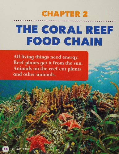 Coral Reef Food Chains
