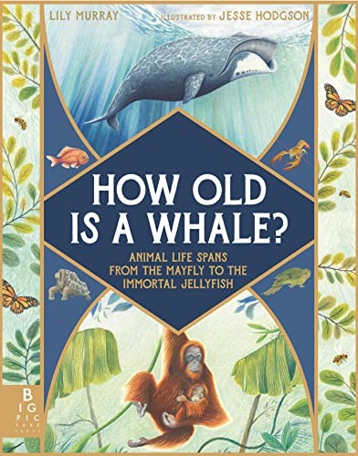 How Old Is a Whale?