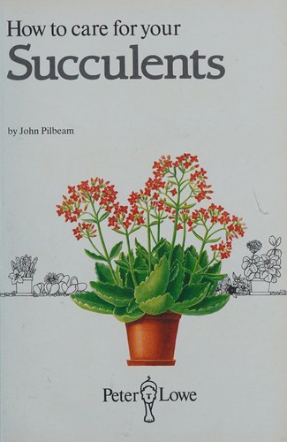 How to care for your succulents