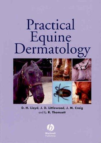Practical equine dermatology