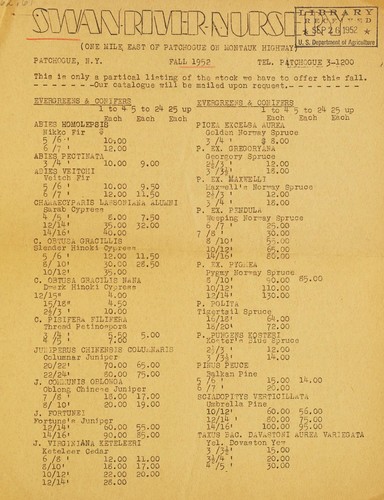 Fall 1952