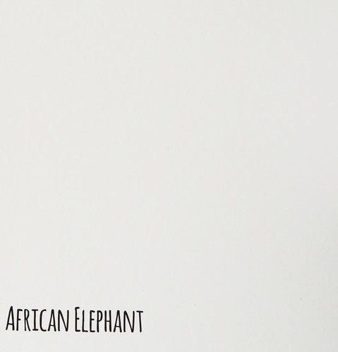Spectacular Animals from Africa
