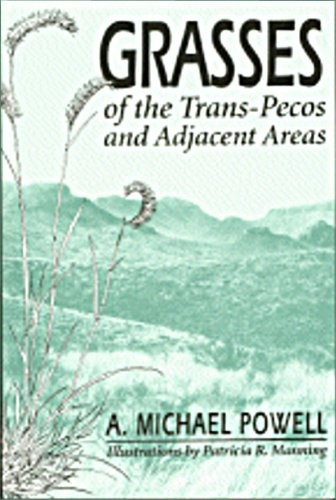 Grasses of the Trans-Pecos and Adjacent Areas