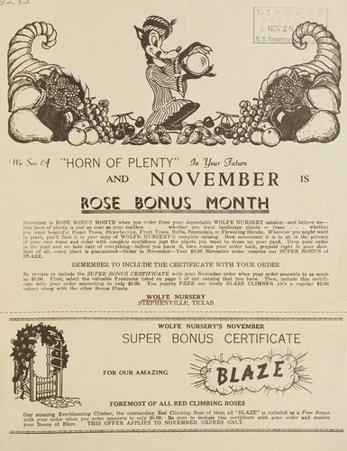 We see a "horn of plenty" in your future and November is rose bonus month