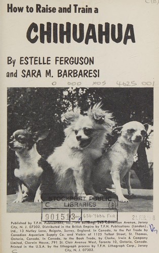 How to raise and train a Chihuahua