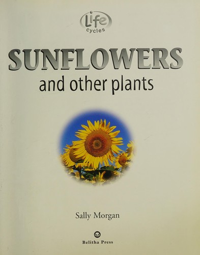 Sunflowers and Other Plants