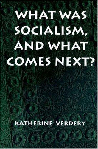 What was socialism, and what comes next?