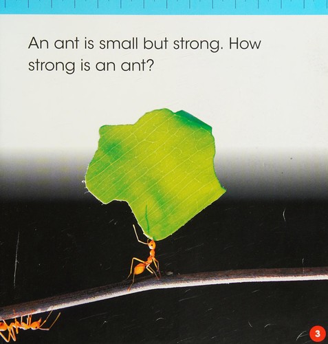 How Strong Is an Ant?