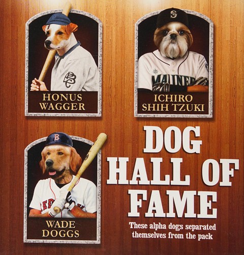Top dogs