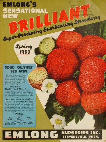 Spring 1953