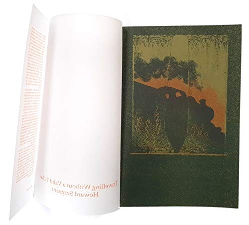 Travelling Without a Valid Ticket (Rivelin Press Second Series)