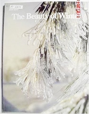 Beauty of Winter