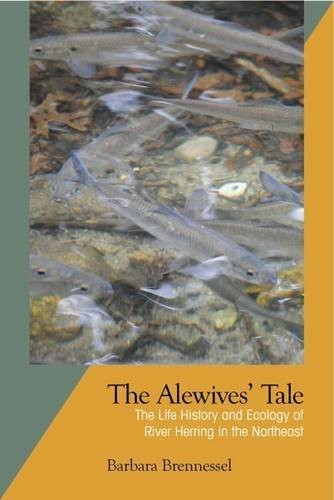 The alewives' tale