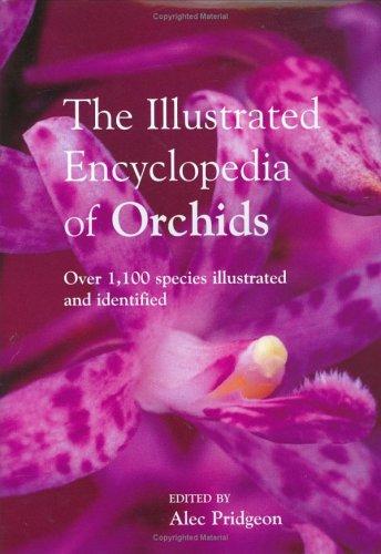 The Encyclopedia of Orchids