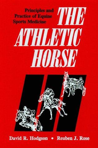 The athletic horse