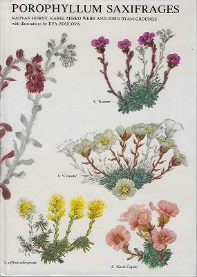 Porophyllum saxifrages