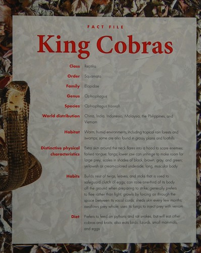 King Cobras