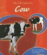 The Life Cycle of a Cow