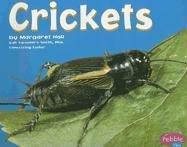 Crickets (Bugs Bugs Bugs)