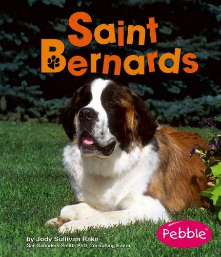 Saint Bernards