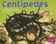 Centipedes (Bugs Bugs Bugs)