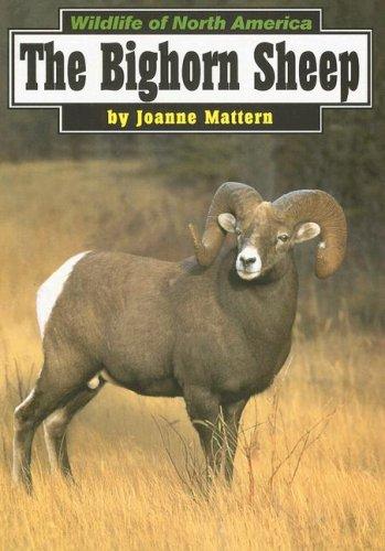 The Big Horn Sheep (Wildlife of North America)