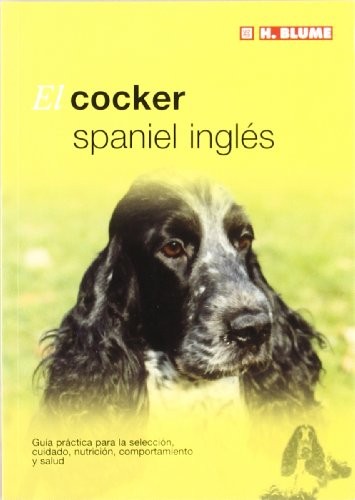 El cocker spaniel inglés