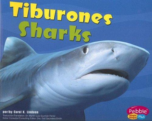 Tiburones/Sharks