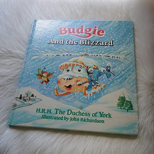 Budgie and the blizzard