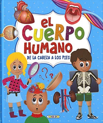 El cuerpo humano de la cabeza los pies
