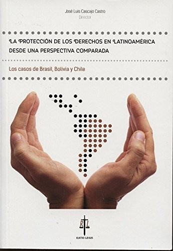 LA PROTECCION DE LOS DERECHOS EN LATINOAMERICA DESDE UNA PERSPECT IVA COMPARADA