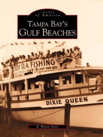 Tampa Bay's Gulf Beaches  (FL)