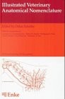 Illustrated Veterinary Anatomical Nomenclature Latin-English