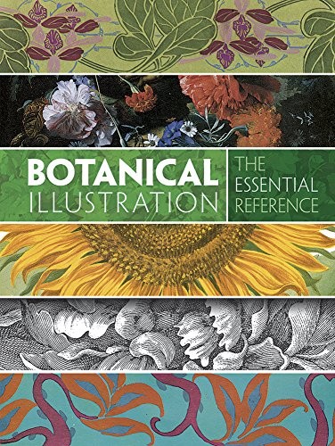 Botanical Illustration